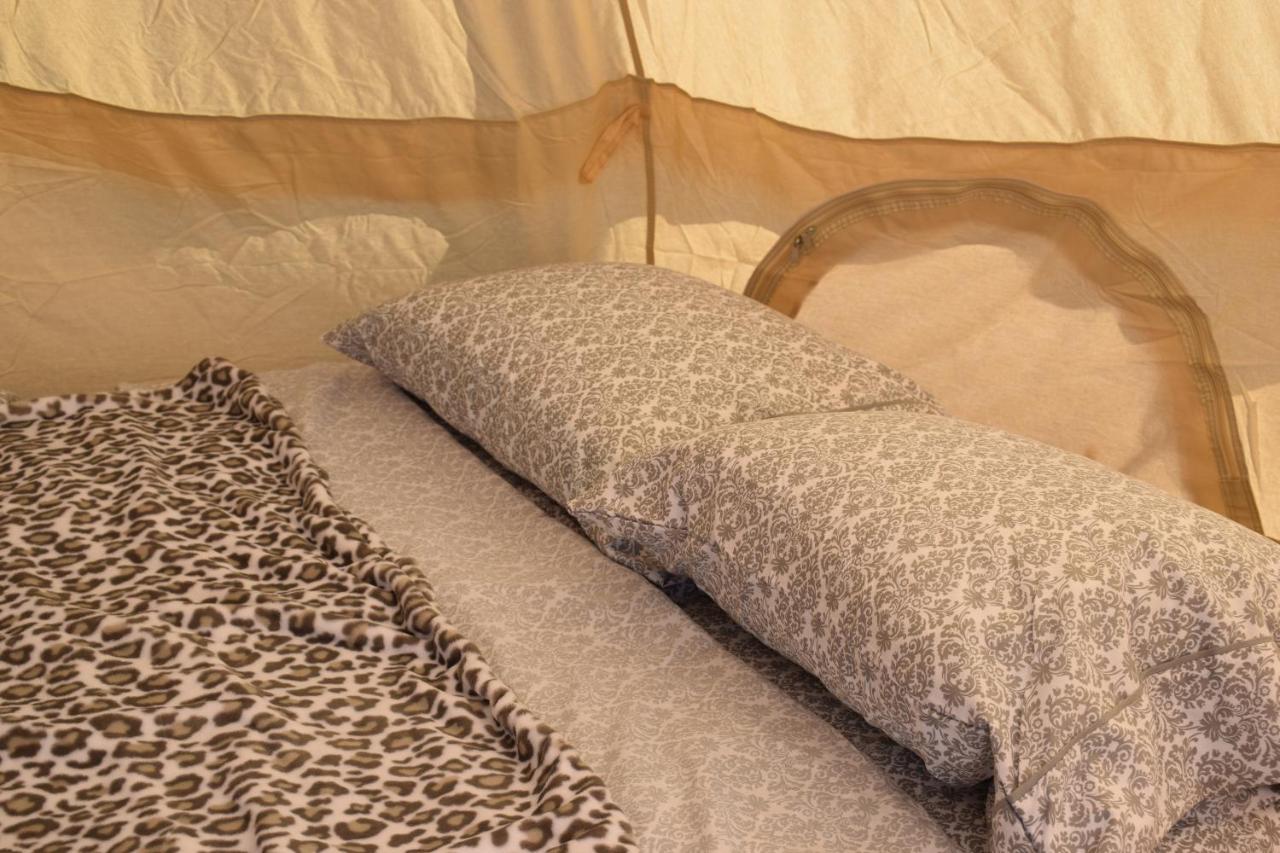 Starlight Tent 3 Holbrook Εξωτερικό φωτογραφία